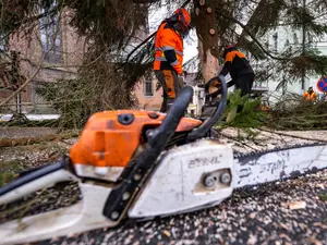 Un bărbat din Argeș a murit în fața soției sale după ce i-a căzut o crangă de copac în cap - FOTO: Profimedia Images