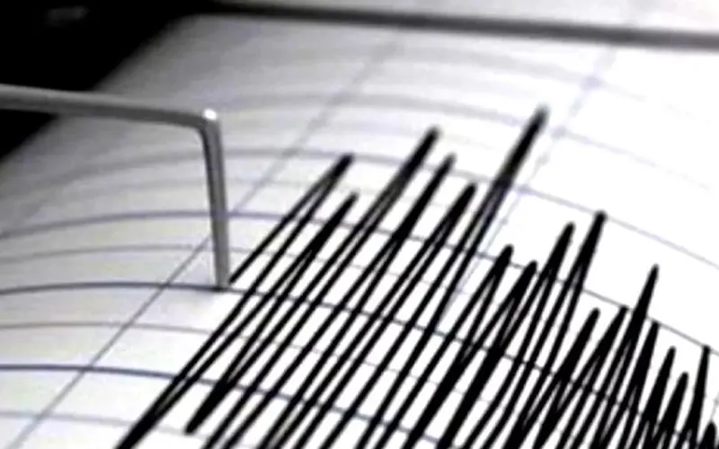 Un nou cutremur s-a produs în zona seismică Vrancea. A fost resimțit în mai multe orașe ale țării/FOTO: Pixabay