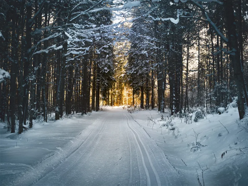 VREMEA După aerul polar cu ger și îngheț, temperaturile cresc peste noapte. La ce să ne așteptăm Foto: Pexels (fotografie cu caracter ilsutrativ)