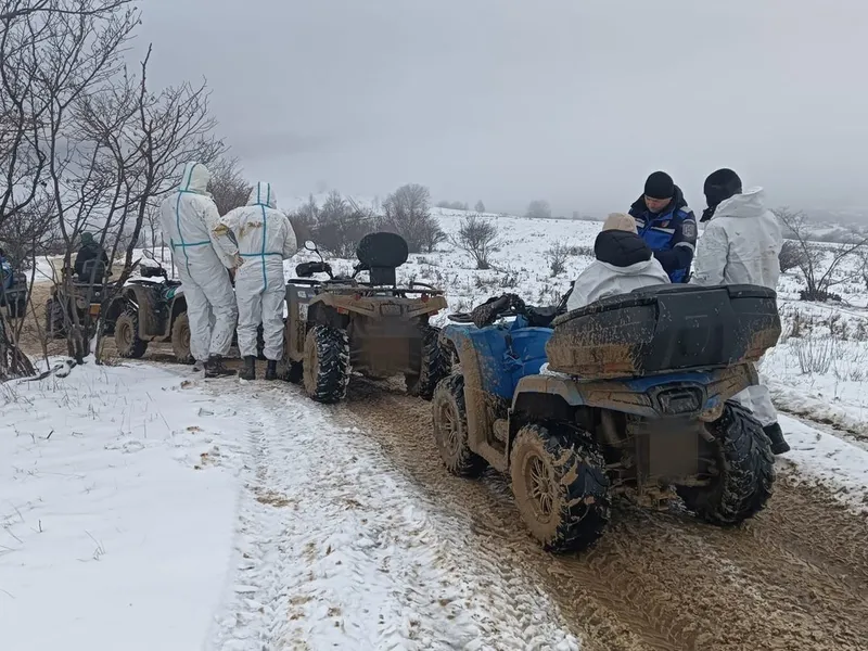 Motivul pentru care patru turiști au fost amendați de jandarmi în Munții Gutâi? Căutau adrenalină - Foto: Arhiva / imagine cu rol ilustrativ