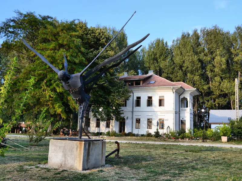 Port Cetate / Foto: xplorio.ro