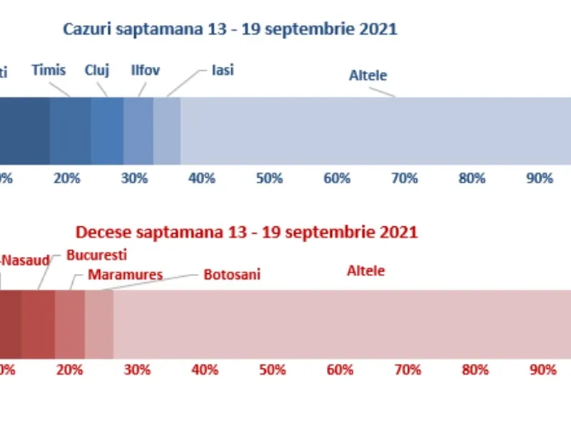 Sursa: INSP