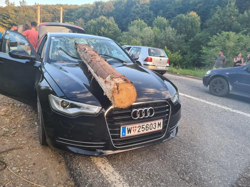 Un buștean a căzut dintr-un TIR cu lemne și s-a înfipt în parbrizul unui Audi din Austria - Foto: Facebook/INFO TRAFIC ROMANIA