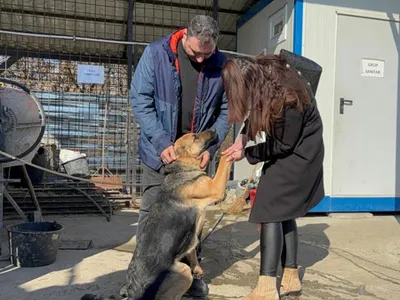 O cățelușă dispărută în Ajunul Crăciunului a fost reunită cu stăpânii. Se speriase de petarde - Foto: News.ro