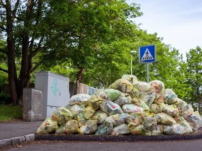 Românii aruncă în fiecare an aproximativ 2,55 de milioane de tone de mâncare/FOTO: Unsplash