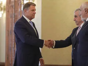 Privirea lui Tăriceanu e suficient de expresivă/FOTO: Inquam Photos