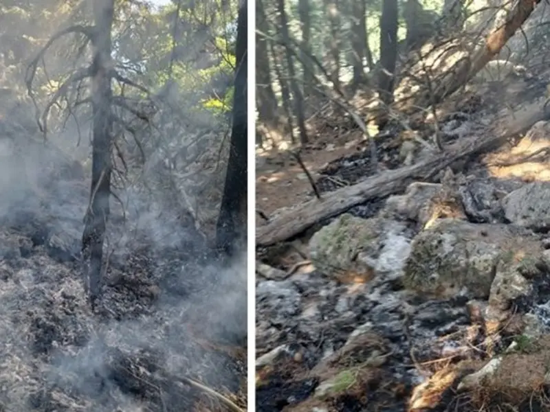 Misiune dificilă a pompierilor din Vâlcea. A doua zi de intervenție la incendiul din masivul Buila - Foto: gazetavalceana.ro