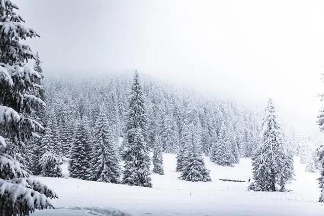 Cum va fi vremea de Crăciun și Revelion.