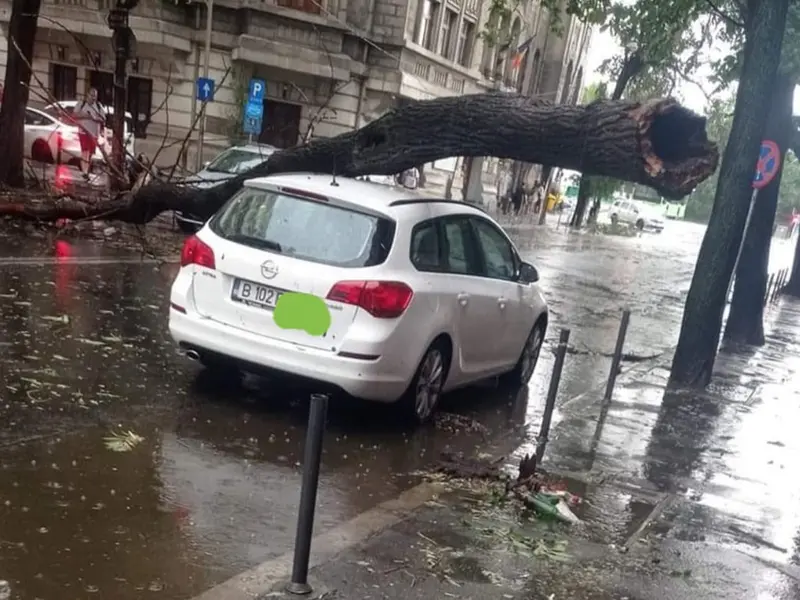 Furtună din senin în București. Orașul, dat peste cap de vijelie Foto: Facebook/Meteoplus