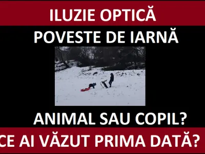 Iluzie optică Foto: Newsweek România