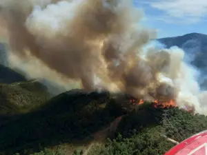 Incendiu de vegetație devastator, în sudul Spaniei. Un oraș a fost evacuat. / Foto: stirileprotv.ro