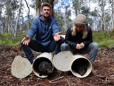 Actorii Chris Hemsworth și Elsa Pataky au participat la eliberarea diavolilor tasmanieni / Foto: WildArk