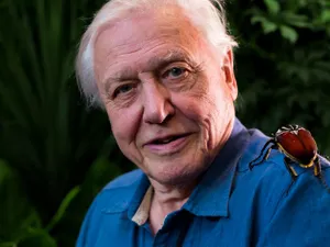 David Attenborough/FOTO: BBC