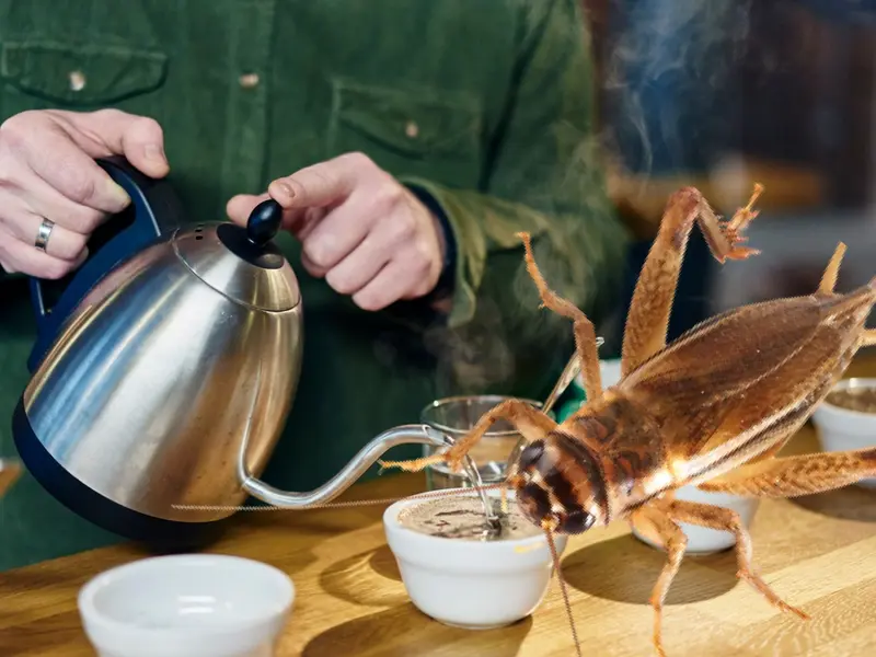 A apărut cafeaua cu insecte. Greierii întregi deshidratați, în compoziție. Cum arată? - FOTO: Profimedia Images