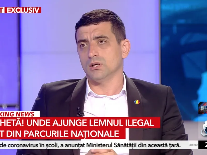 Nouă alianță politico-mediatică împotriva străinilor care „ne taie pădurile”: Antena3 + AUR + Declic/FOTO: Antena 3