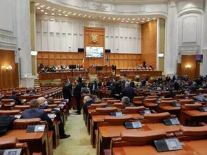 Bani în parlament - FOTO: INQUAM PHOTO, Octav Ganea