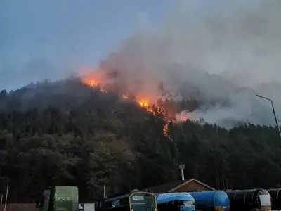 Flăcările au izbucnit duminică în pădurea de lângă Oituz. FOTO: Facebook