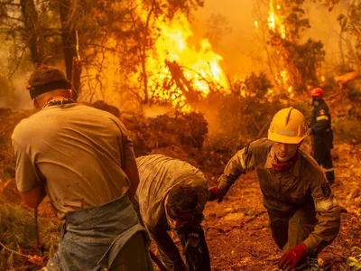 Incendiile de vegetație din vară au provocat emisii record de CO2. / Foto: bbc.com