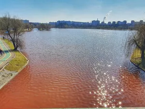 Lacul IOR e plin de pipi și caca susține Asociația Eco Civica, de aici și culoarea roșie a apei Foto: Eco Civica