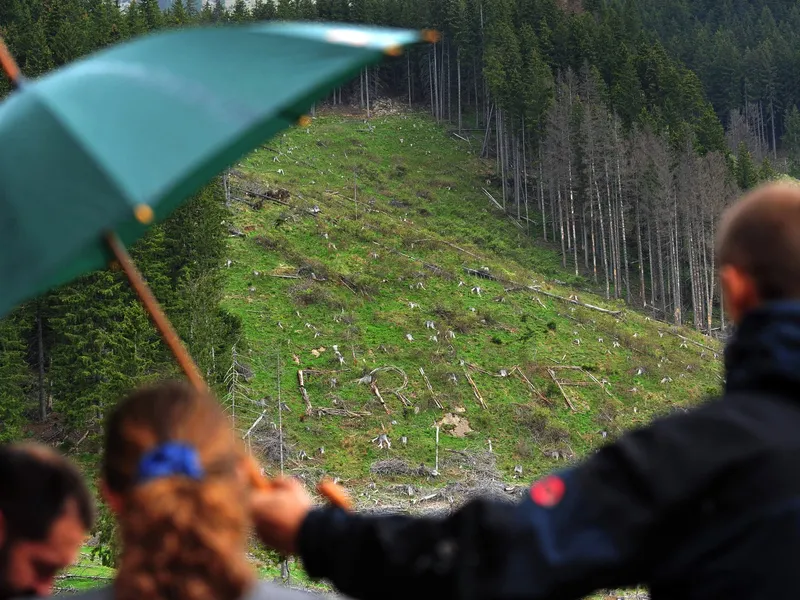 Un profesor a fost găsit mort în Botoșani. Două colege au descoperit cadavrul în pădure Foto: Profimedia Images (fotografie cu caracter ilustrativ)