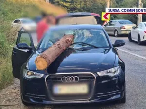 Au scăpat ca prin minune după ce un buștean căzut dintr-un camion le-a străpuns parbrizul - Foto: PROTV / imagine cu caracter ilustrativ