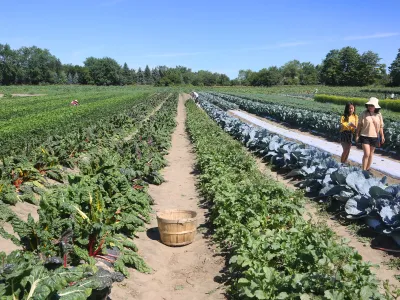 330 de euro primesc cei care muncesc în agricultură. Vezi în ce condiții se acordă stimulentele Foto: Profimedia Images (fotografie cu caracter ilsutrativ)