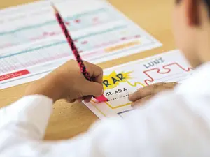 Doar 44% dintre profesori au luat examenul de titularizare din acest an / Inquam