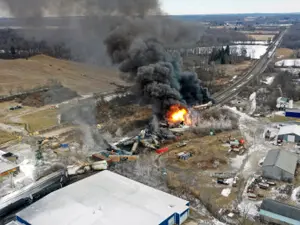 Accident chimic în SUA: Un tren cu clorură de vinil a luat foc / Foto: Profimedia