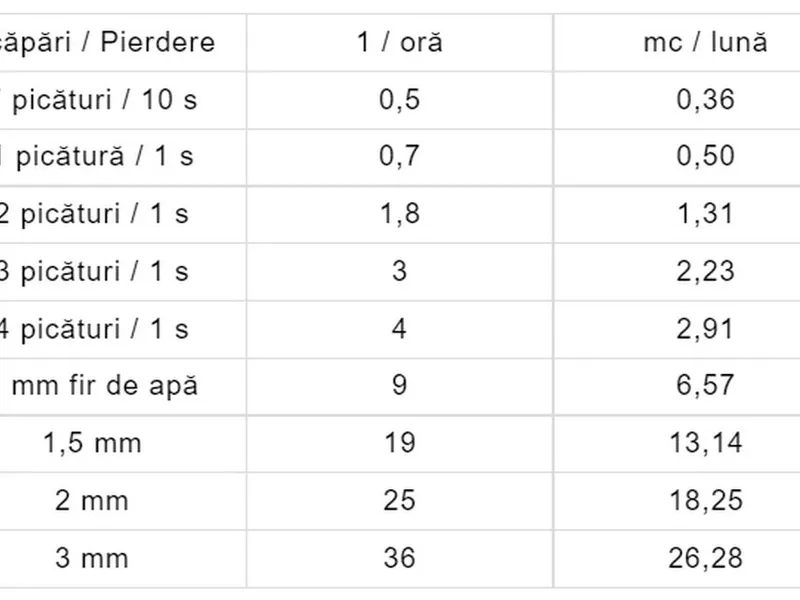 Estimare pierderi/scăpări instalații apă. / Foto: aquabis.ro