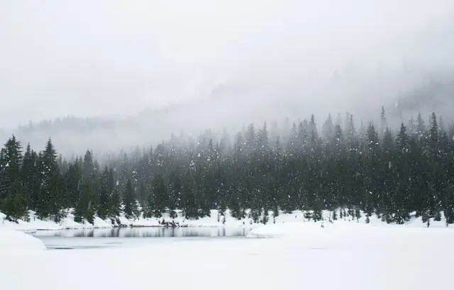 Cod portocaliu de viscol și ninsori abundente la munte/FOTO: unsplash.com