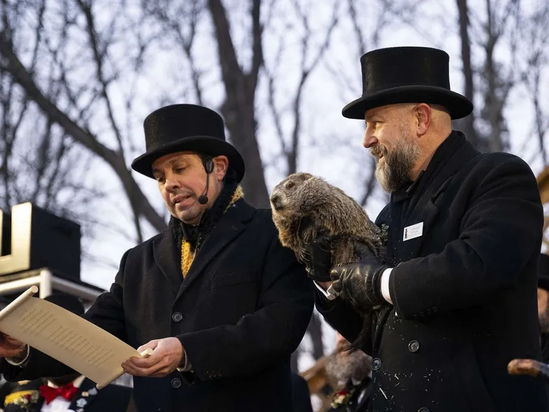 Cât va mai dura iarna conform marmotei Phil - Foto: Profimedia Images (cu rol ilustrativ)