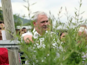 Dragnea, la fereală/FOTO: facebook.com