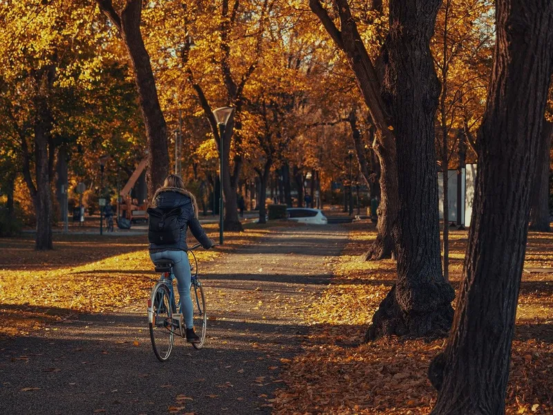 biciclete parc