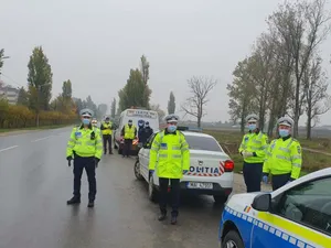 Carantină pentru Mogoșoaia/Foto: economica.net