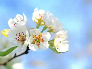 VREMEA Prima zi din luna aprilie aduce temperaturi maxime în aproape toată țara. Unde e cel mai cald Foto: Pexels (fotografie cu caracter ilustrativ)