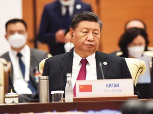 Președintele Chinei Xi Jinping, acuzat că nu respectă drepturile omului - Foto: Profimedia Images