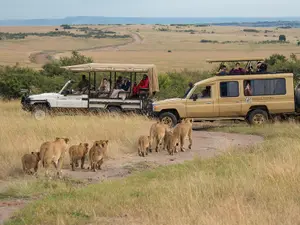 Safari în Tanzania. / Foto: wildlifesafaritanzania.com