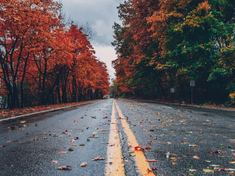 VREMEA ne ia prin surprindere în septembrie! Temperaturile scad cu cel puțin 10 grade în țară Foto: Pexels (fotografie cu caracter ilustrativ)