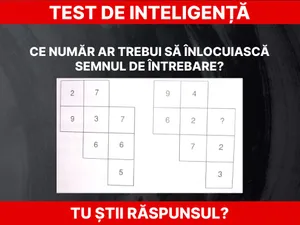 Test de inteligență Foto: Daniel Toșa