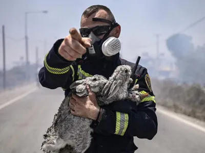 Pompier român care a salvat din calea flăcărilor doi iepuri și o pisică - Foto: Facebook/ AFP