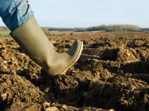 Șeful APIA, demis la ordinul Ministrului Agriculturii. Subvențiile fermierilor ar fi motivul - Foto: Profimedia Images/ Imagine cu caracter ilustrativ