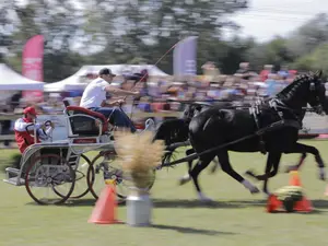 Spectacol total și concurs cu puncte pentru JO de la Paris, la Karpatia Horse Show 2023 - Foto: Facebook/Karpatia Horse Show