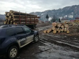 Foto: Garda Forestieră Suceava