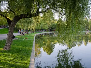 Parcul IOR - Foto: gsp.ro