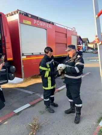 Interventie din 2019 pentru salvarea unui cățel Foto: Giurgiuveanul