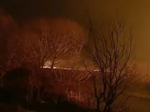 Incendiu de vegetație în Delta Dunării - Foto: Facebook/ISU Tulcea