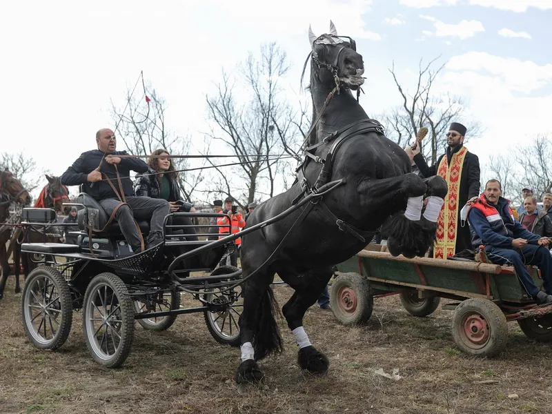 „Botezul cailor”, de Bobotează n-ar trebui făcut cu agheasmă - Foto: INQUAM Photos/George Călin - cu rol ilustrativ