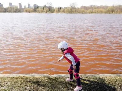 Lacul IOR din Capitală, poluat cu fecale. Sursa: Inquam Photos - George Călin