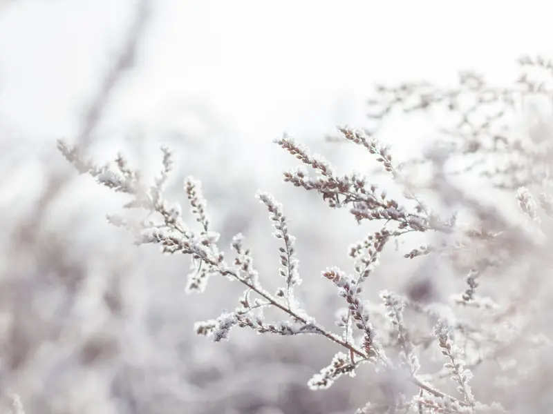 VREMEA Ger de îngheață pietrele în acest sfârșit de săptămână. Record de temperaturi cu minus Foto: Pexels (fotografie cu caracter ilustrativ)