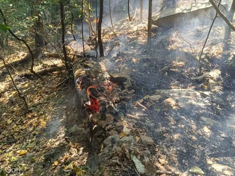 Incendiu izbucnit în România, flăcările cuprinzând circa 10.000 de metri pătraţi. Unde se întâmplă - Foto: ISU Gorj(imagine cu rol ilustrativ)